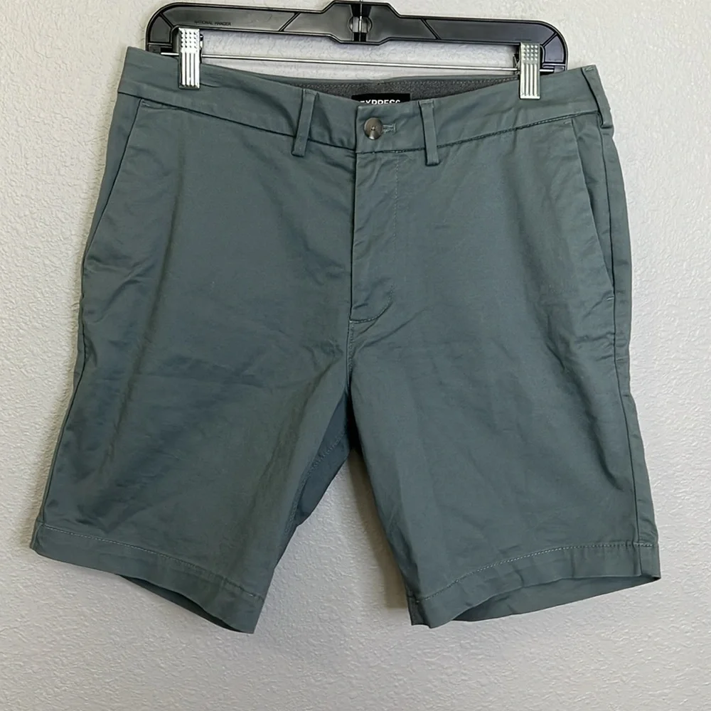 Express Chino Shorts Gray Size 31